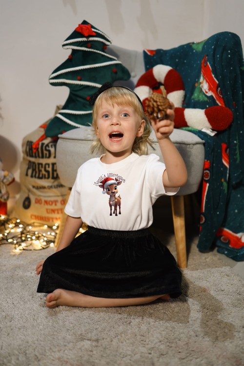 Zestaw rodzinny - renifery